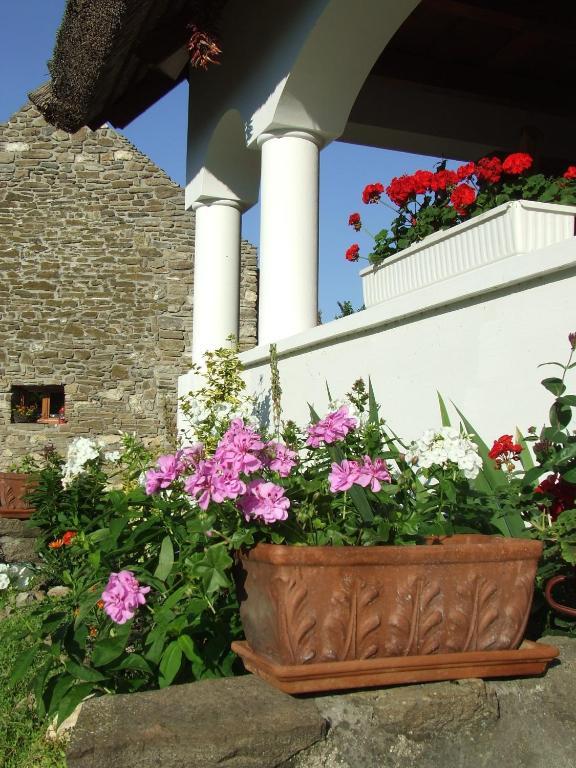 Csato Vendeghaz Tihany